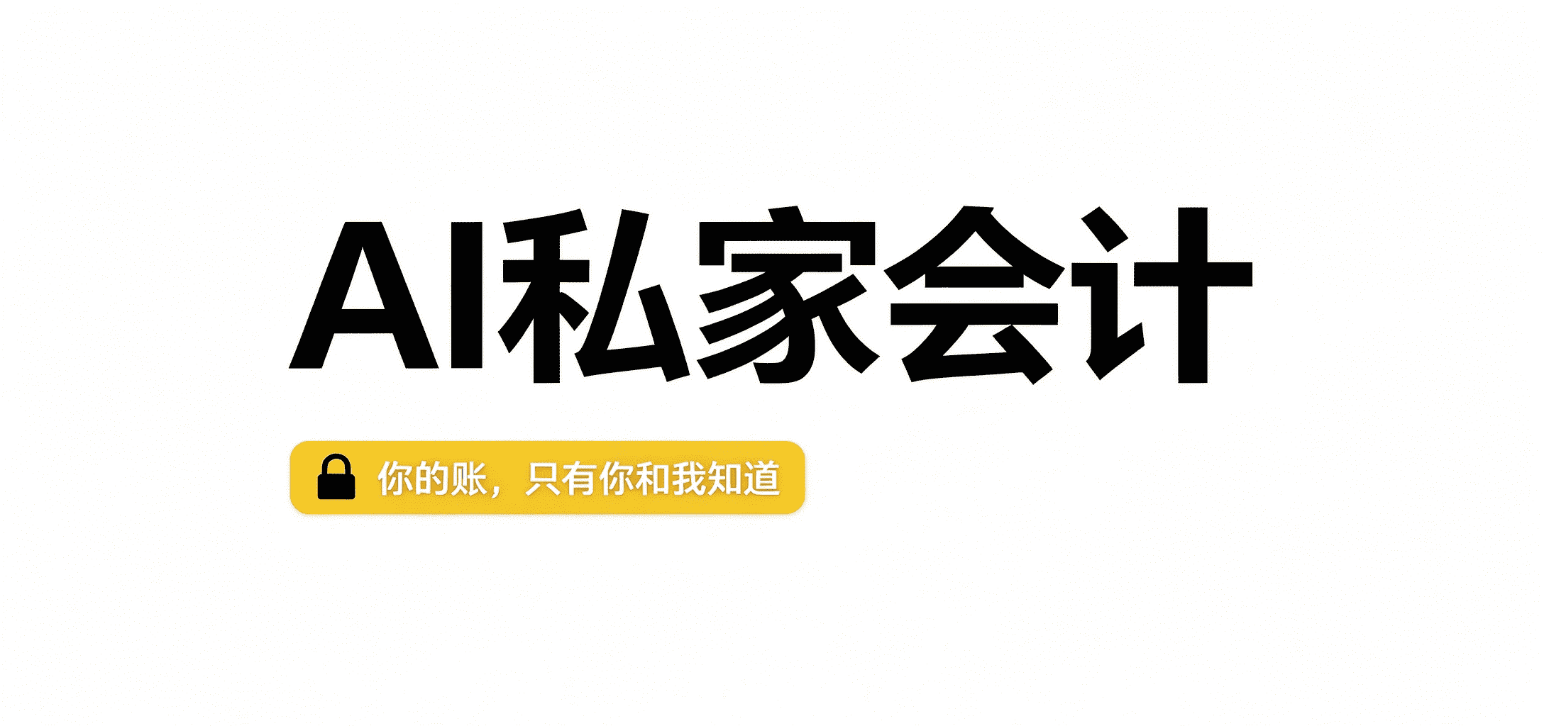私家会计